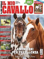 Il mio Cavallo